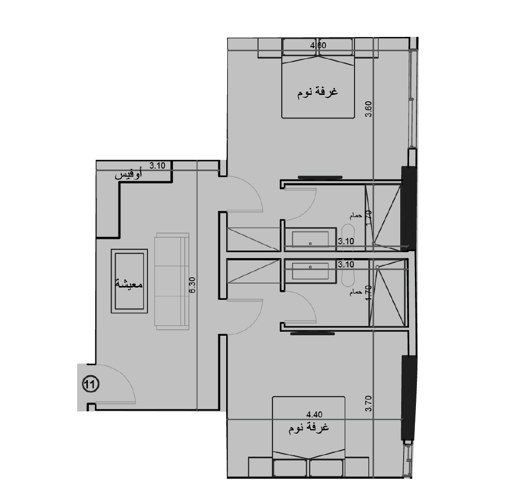 الفئة E10